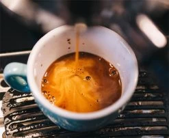 49th Parallel EPIC ESPRESSO Light Blend Coffee Beans 340 Gr / 12 Oz -Café Essentials Shop phpXFtbGI 4